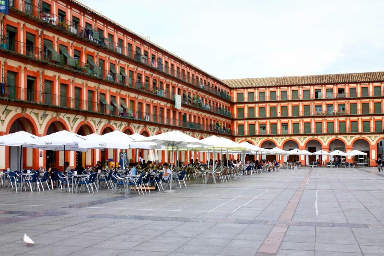 Apartamento Pedro Lopez