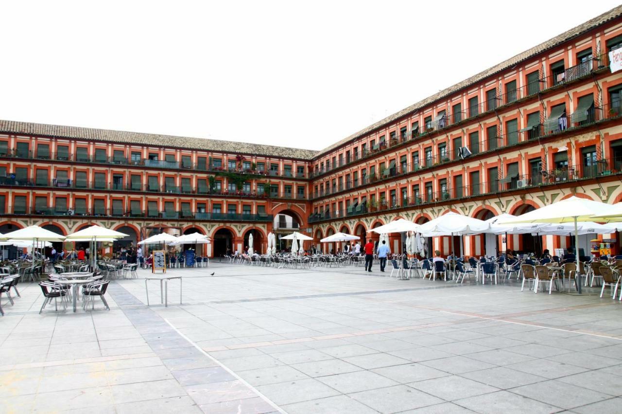 Pedro Lopez Córdoba